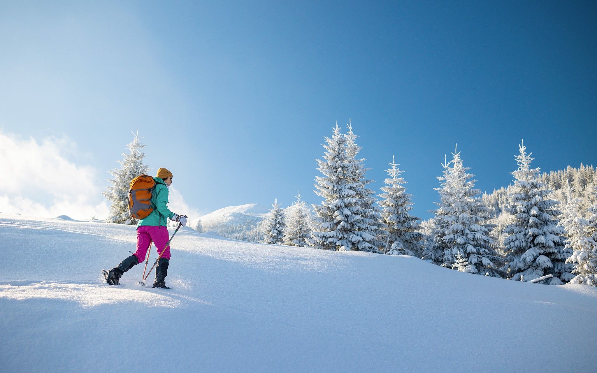 Sci Alpinismo e Ciaspole